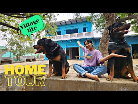 The Rott Home TOUR | funny dog video | rottweiler dog | #dog #rottweiler