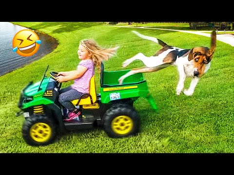Funny Animal Videos 2023 😅 – Funniest Dogs and Cats Videos 🥰 #2