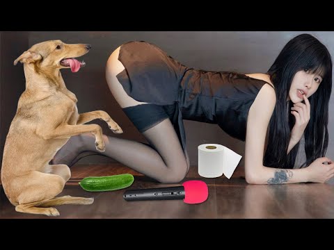 Funniest Dogs 🐶 and Cute Cats 😻 Funniest Animal Videos 2023 😍 #102