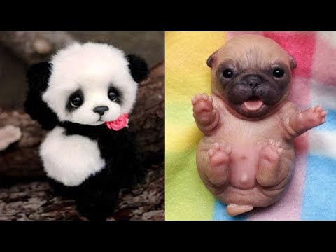 Cute baby animals Videos Compilation cute moment of the animals – Cutest Animals #44