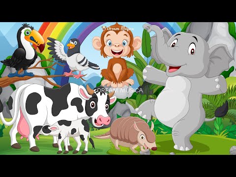 Funny Animal Sounds in 30 Minutes: Cow, Elephant, Armadillo, Monkey – Animal videos