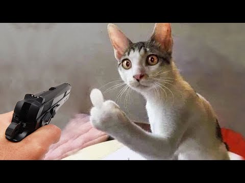 Funniest Cats and Dogs 2023 😂 New Funny Animals 🤣 Part 19