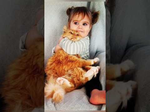 Funny animals 2023😆 – Funniest Cats and Dogs Video🐕🐈227 #shorts
