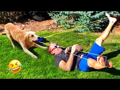 Funniest Animal Videos 😂 – Funny Cats invited to the Dog Party #24