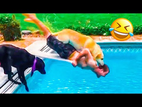 Funny Animal Videos 2023 😅 – Funniest Dogs and Cats Videos 🥰 #18