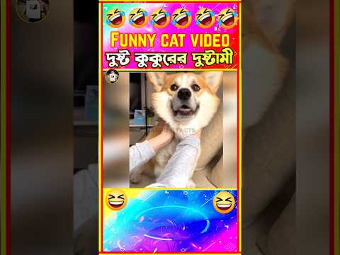 🤣দুষ্ট কুকুর এর দুষ্টমী🤣| Funny dog videos Bangla | Funny Animals | Funny Dog