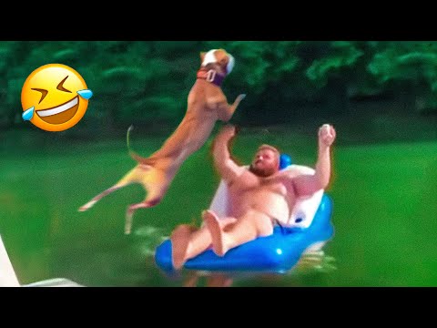 Funniest Animal Videos 😂 – Funny Cats invited to the Dog Party #23