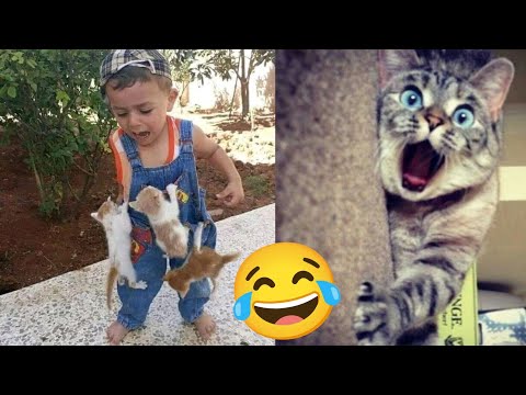 Funny Dogs and Cats Videos 2023,😂 cats and dogs funny videos, 😭 funny animals, 😹🙀🤣🐶