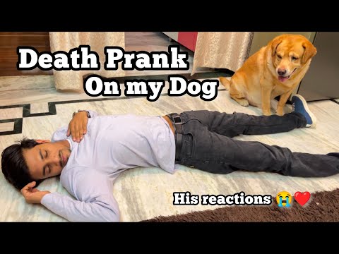 Death prank on my dog😂 | Anant rastogi