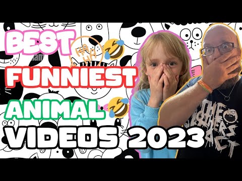 Best – Funny Dogs And Cats Videos 😅 2023 / DAD & DAUGHTER REACT