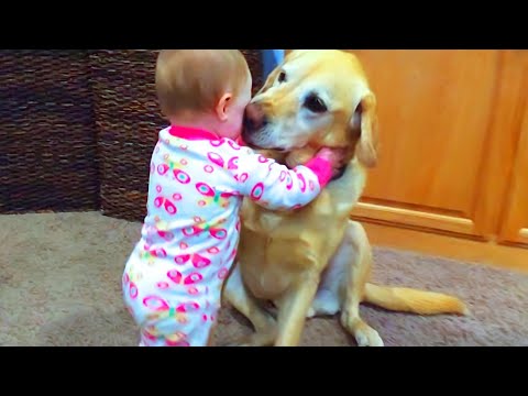 Funny Babies Playing with Dogs Compilation – Funny Baby and Pets || Cool Peachy