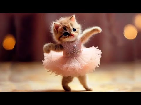 Funny animals – Funny cats and dogs – Funny animal videos 2023🤣