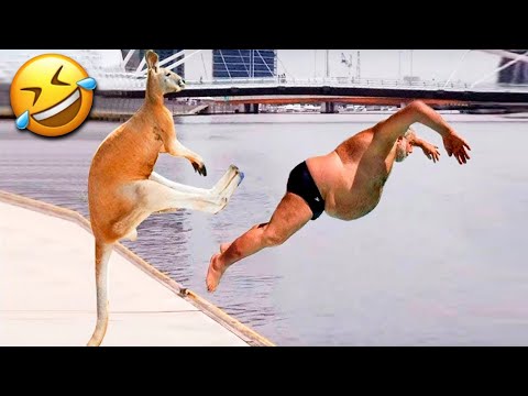 Funny Dogs And Cats Videos 2023 😅👌 – Best Animal Videos Of The Month 😄 #20