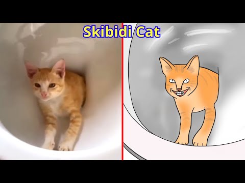 😂Cat Memes: Skibidi Toilet Cat and Funniest Dogs (updated) 😅 Trending Funny Animals 😹