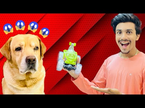 Remote control car prank on my Dog | Leo dar gya | Anant Rastogi