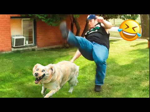 New Funny Animals 😂 Funniest Cats and Dogs Videos 😺🐶